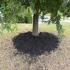 Commercial-Mulching-Services-in-Oxford-MS-and-Surrounding-Areas 12